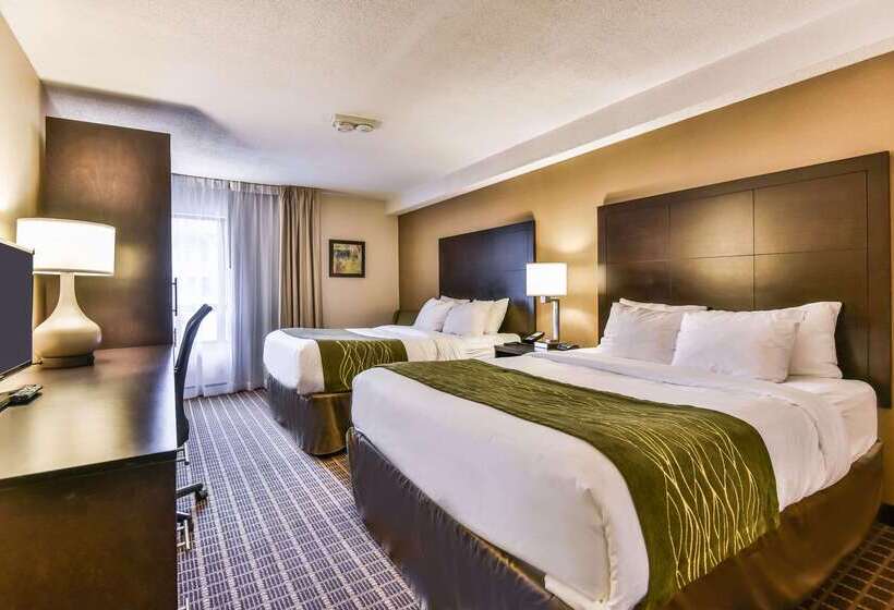 ホテル Comfort Inn