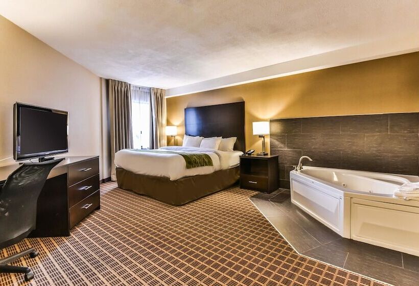 ホテル Comfort Inn