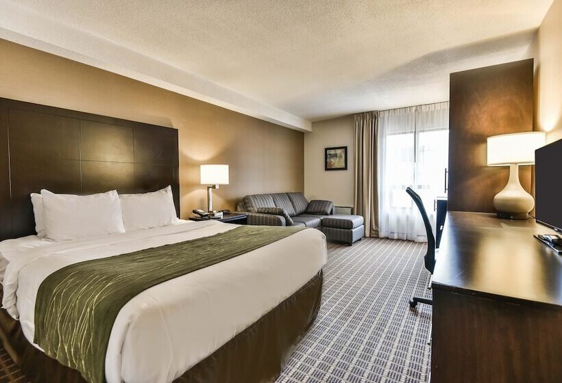 ホテル Comfort Inn