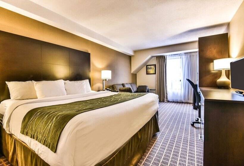 ホテル Comfort Inn