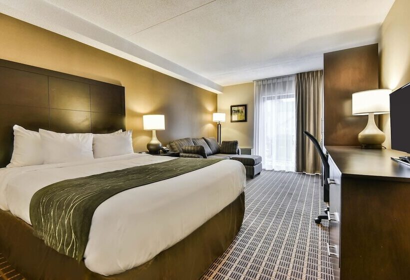 ホテル Comfort Inn