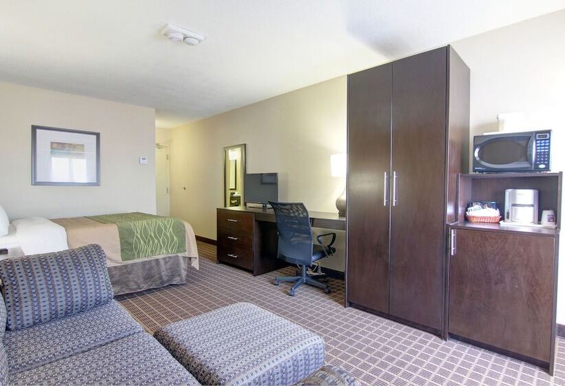 ホテル Comfort Inn