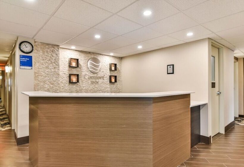 ホテル Comfort Inn