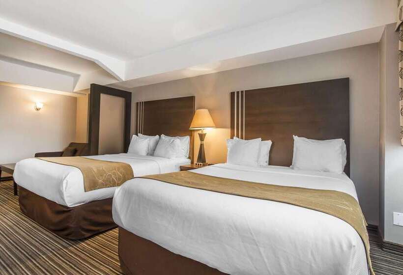 ホテル Comfort Suites Downtown