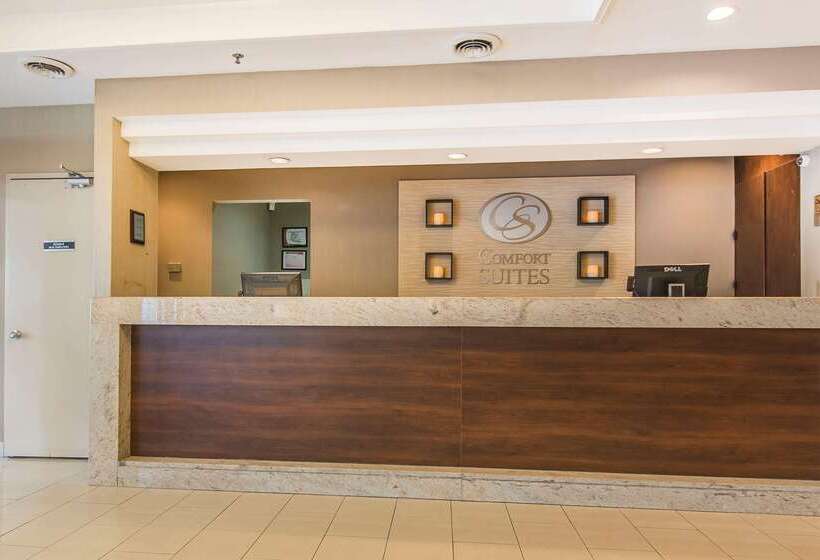 ホテル Comfort Suites Downtown