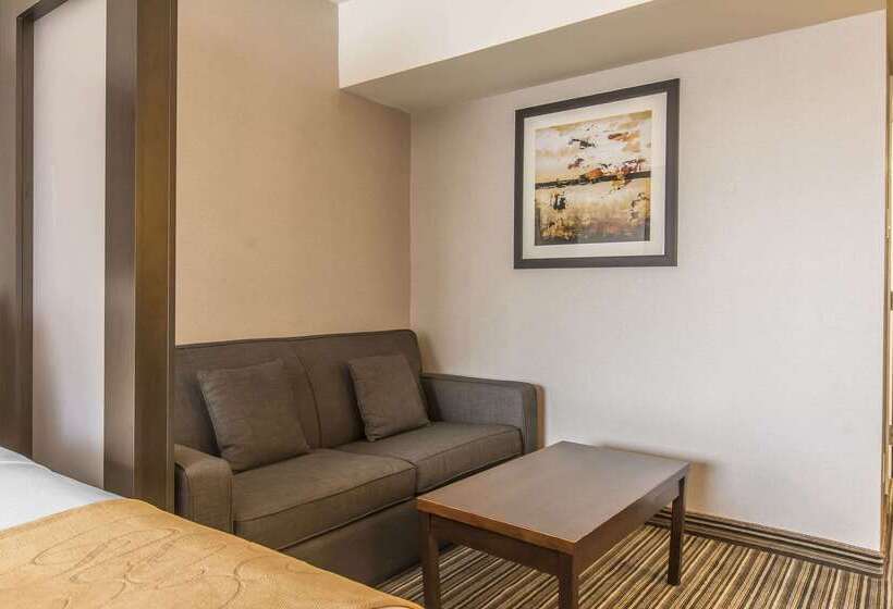 ホテル Comfort Suites Downtown