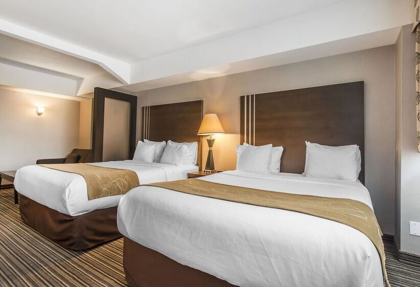 ホテル Comfort Suites Downtown