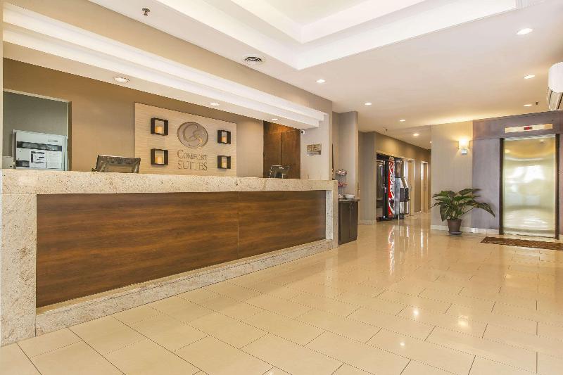 ホテル Comfort Suites Downtown