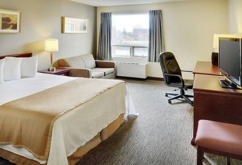 בית מלון כפרי Courtyard By Marriott Regina Downtown