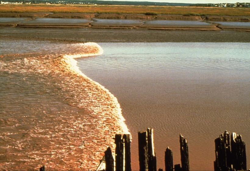 Crowne Plaza Hotel Moncton Downtown, An Ihg