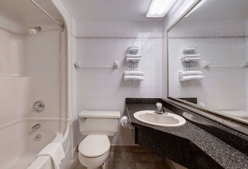 酒店 Days Inn By Wyndham Niagara Falls Near The Falls