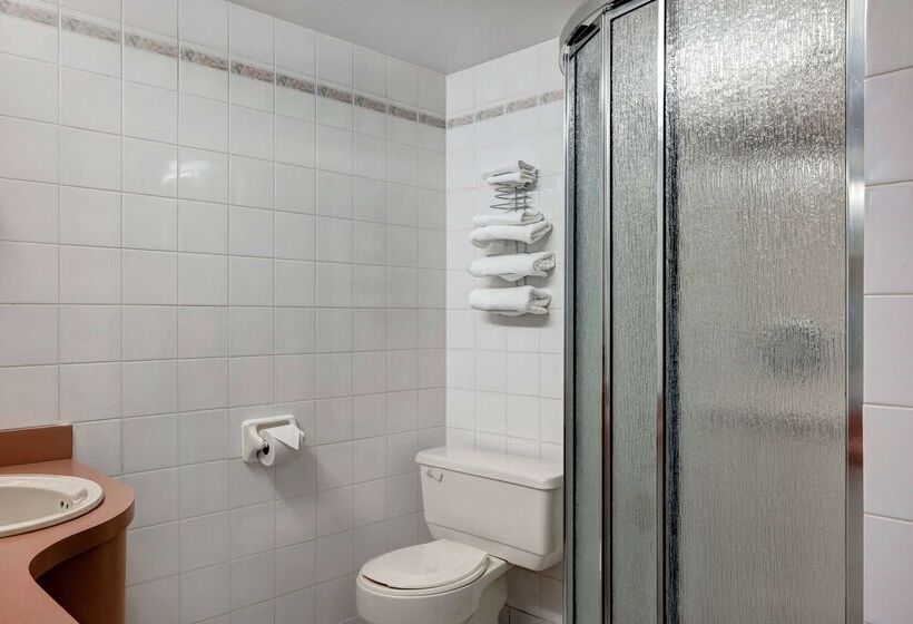 酒店 Days Inn By Wyndham Niagara Falls Near The Falls