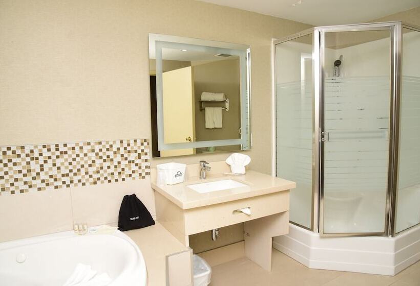 酒店 Days Inn By Wyndham Ottawa