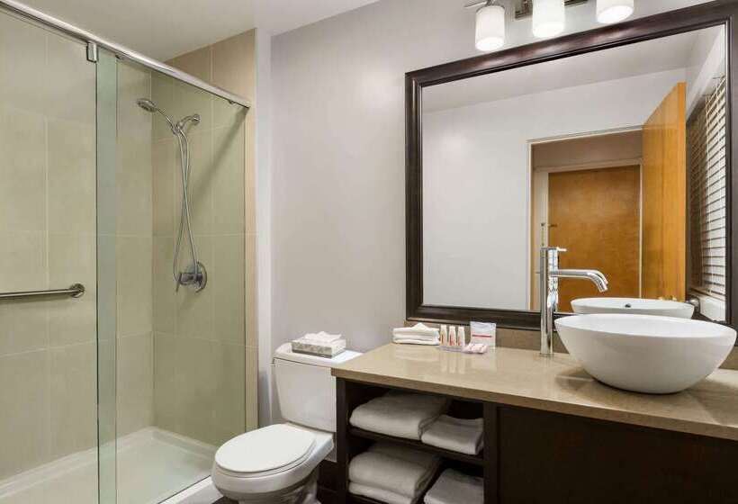 فندق Days Inn By Wyndham Vancouver Downtown