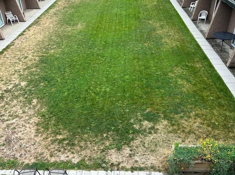 בית מלון כפרי Divya Sutra Plaza And Conference Centre, Vernon, Bc