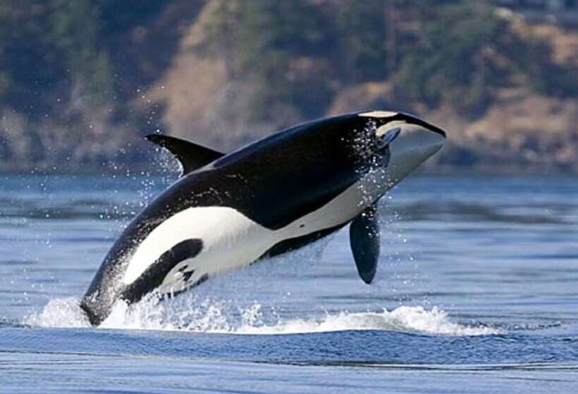 Doubletree By Hilton Hotel & Suites Victoria