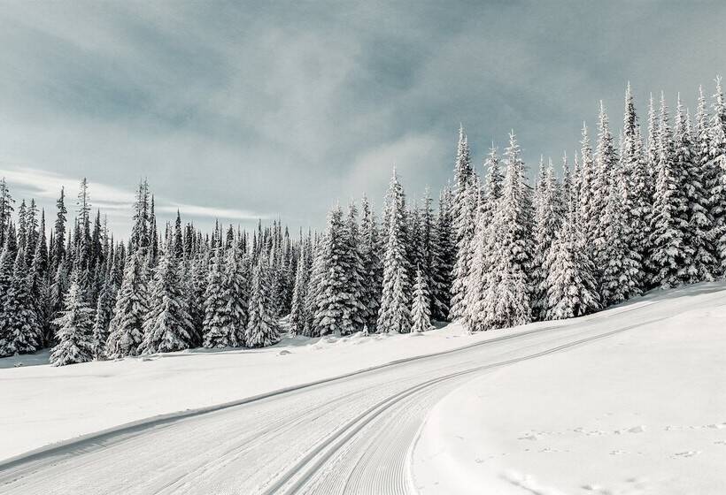 Doubletree By Hilton Hotel Kamloops