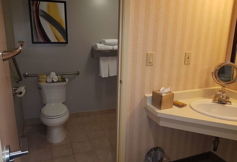 Doubletree By Hilton Hotel London Ontario