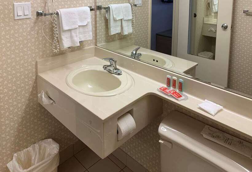 בית מלון כפרי Econo Lodge Airport Quebec