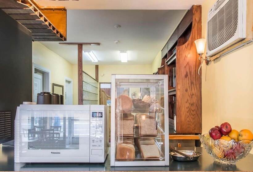 酒店 Econo Lodge Downtown