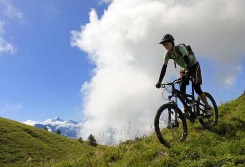 בית מלון כפרי Europe Brig