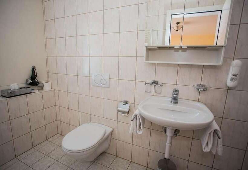 בית מלון כפרי Europe Brig