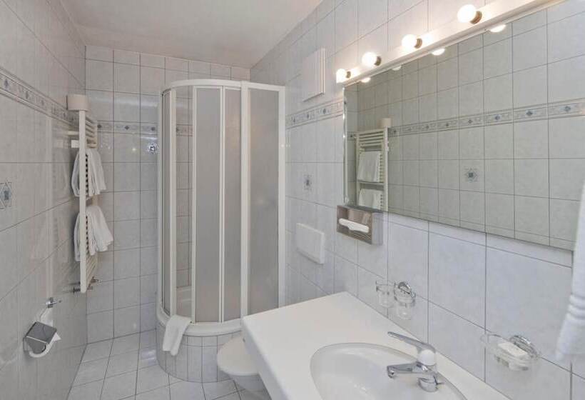 בית מלון כפרי Europe Brig