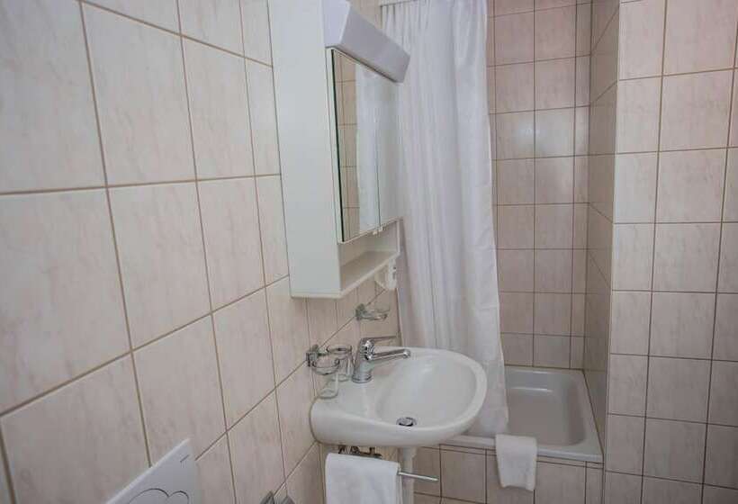 בית מלון כפרי Europe Brig