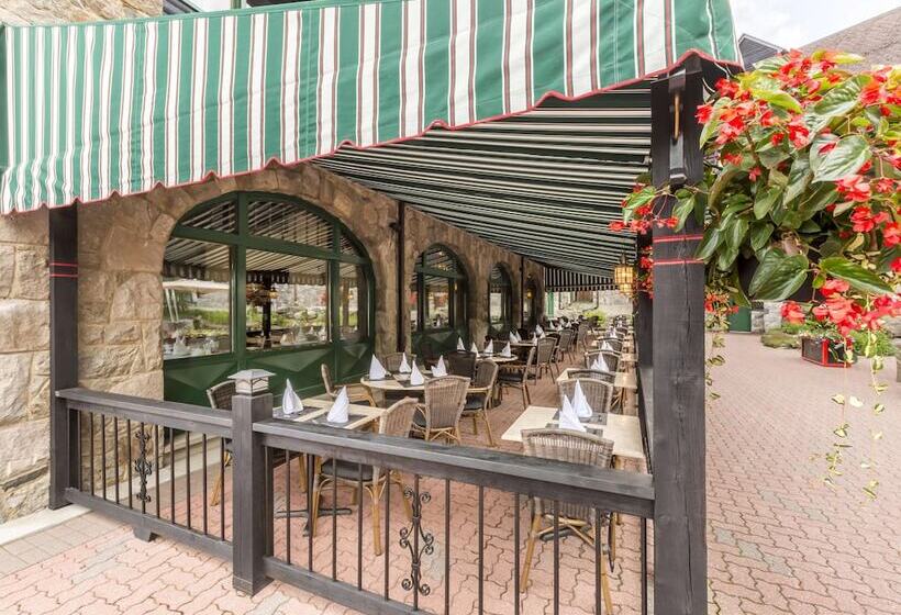 فندق Fairmont Le Chateau Montebello