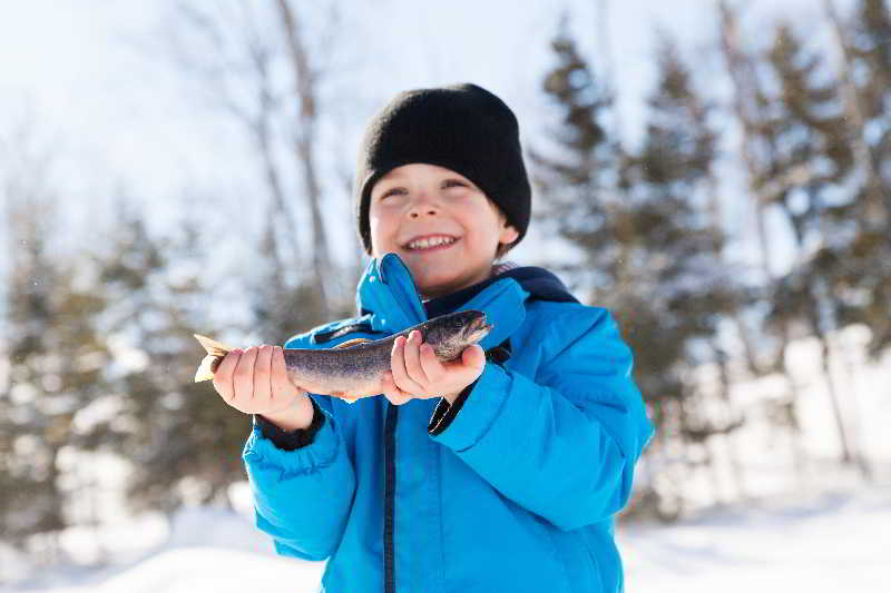 Отель Fairmont Le Manoir Richelieu