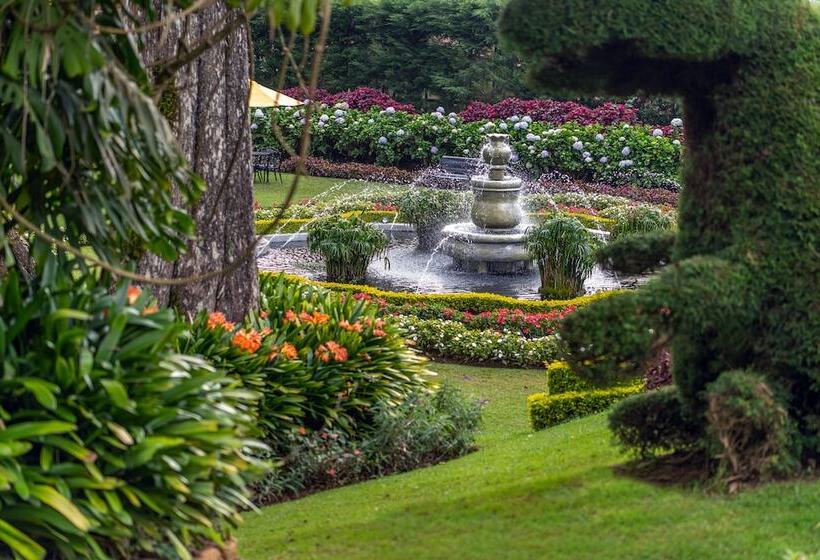 The Grand Hotel   Heritage Grand