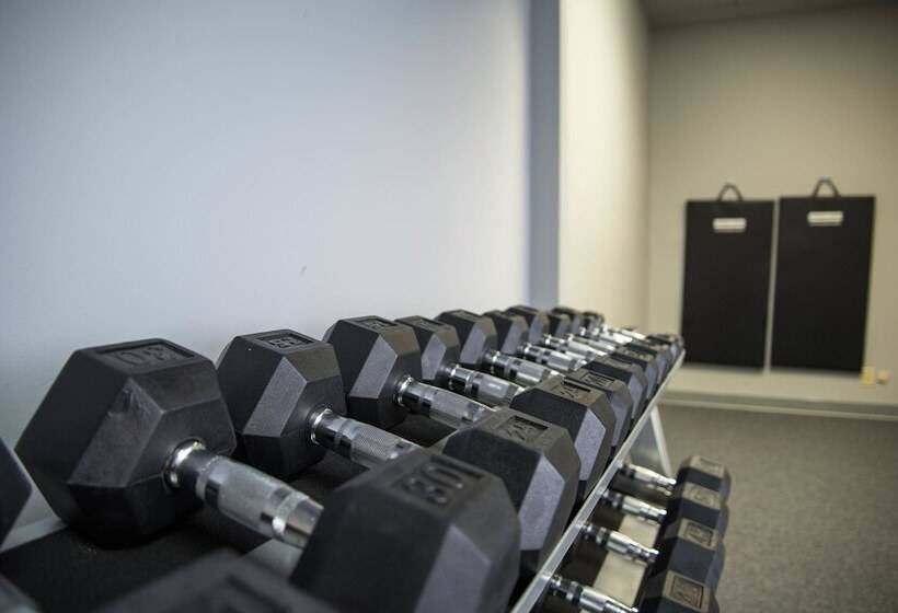 בית מלון כפרי Highliner