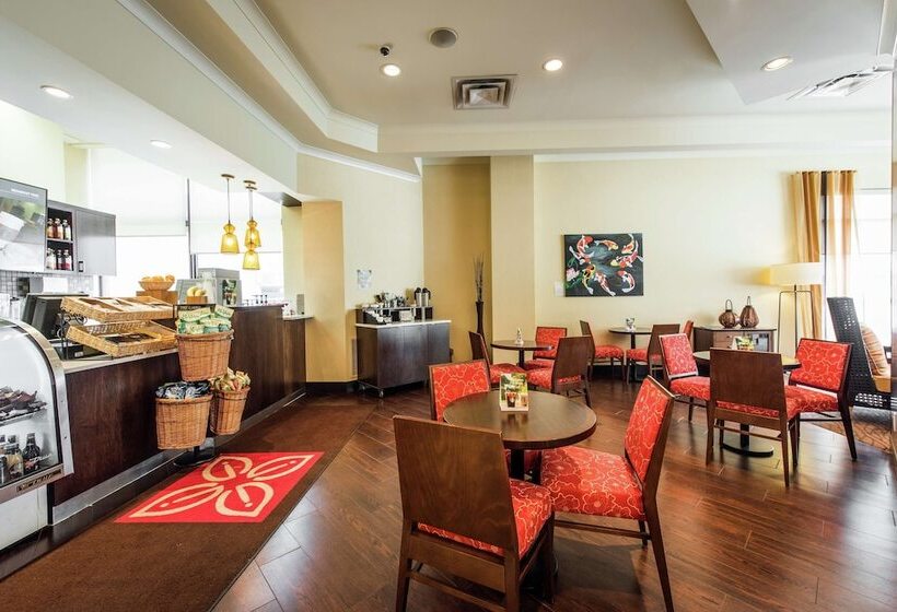 ホテル Hilton Garden Inn Saskatoon Downtown