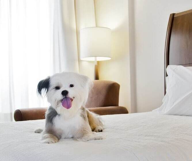 ホテル Hilton Garden Inn Saskatoon Downtown