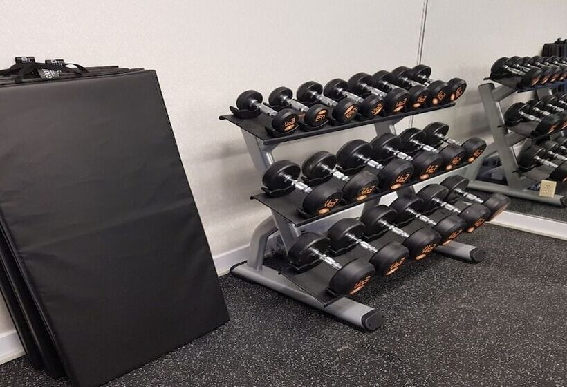 酒店 Holiday Inn Express & Suites Mississauga Toronto Southwest, An Ihg