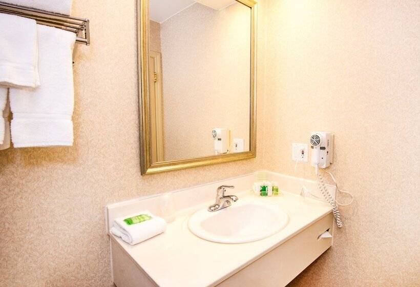 فندق Holiday Inn Hinton, An Ihg