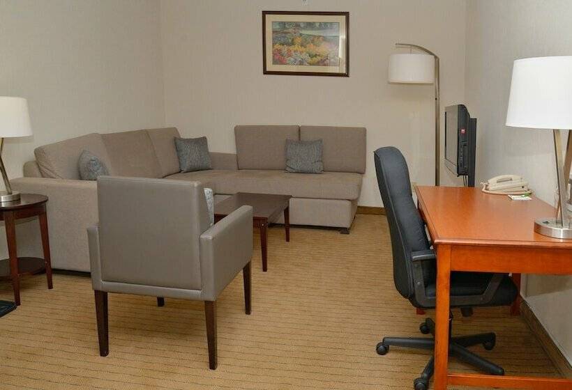 فندق Holiday Inn Hinton, An Ihg