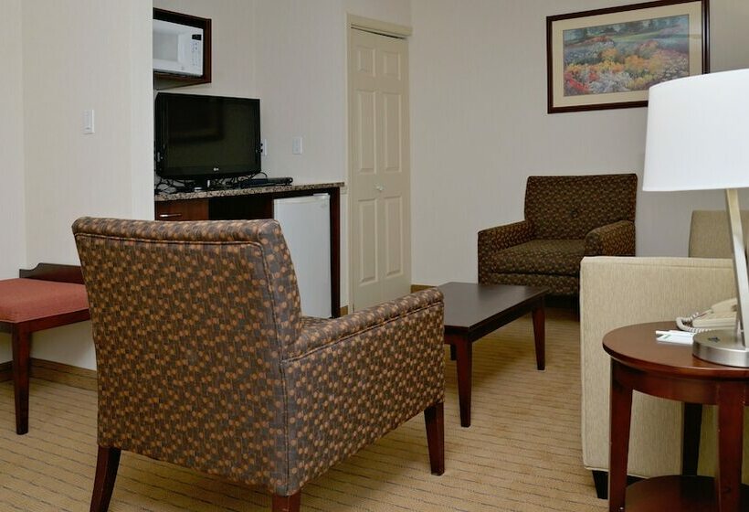 فندق Holiday Inn Hinton, An Ihg