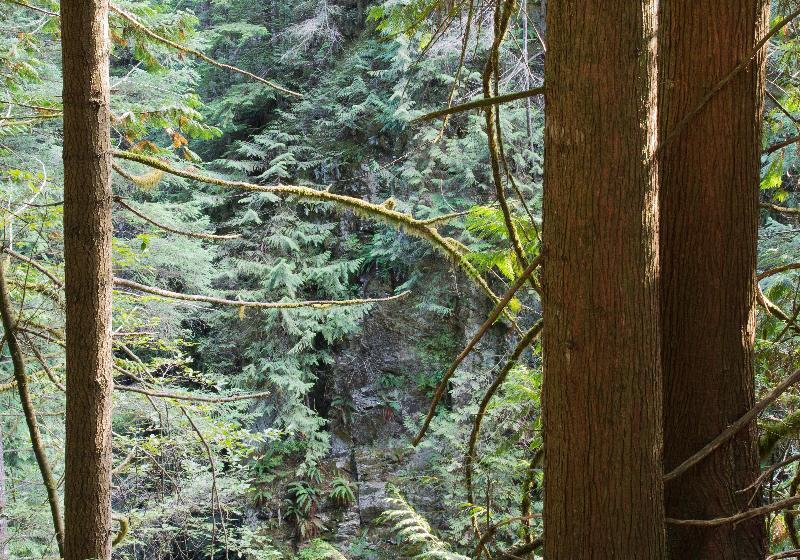 酒店 Holiday Inn & Suites North Vancouver, An Ihg