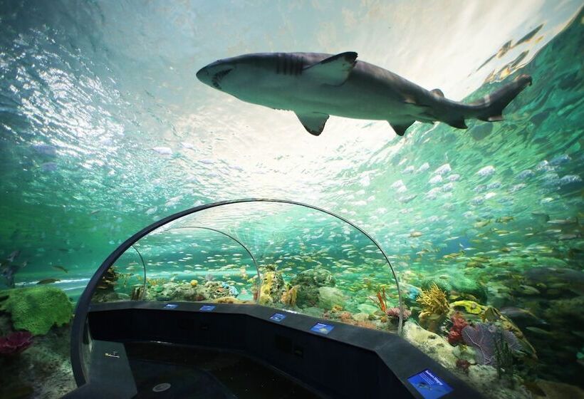 酒店 Holiday Inn Toronto Downtown Centre, An Ihg