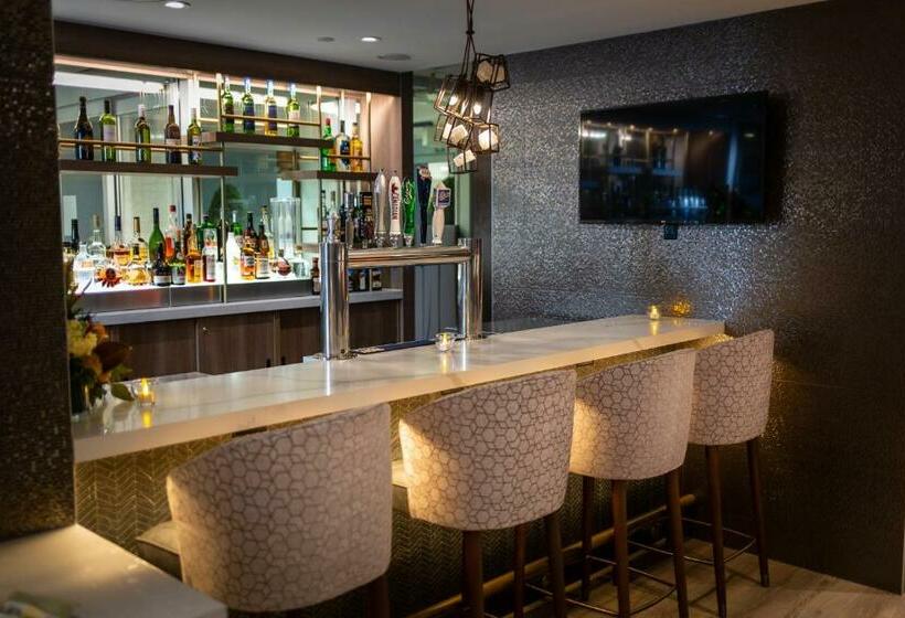 酒店 Holiday Inn Toronto Downtown Centre, An Ihg