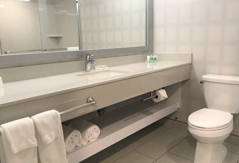 فندق Holiday Inn Winnipeg   Airport West, An Ihg