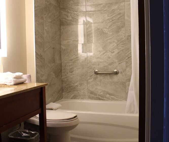 酒店 Surestay Plus By Best Western Windsor