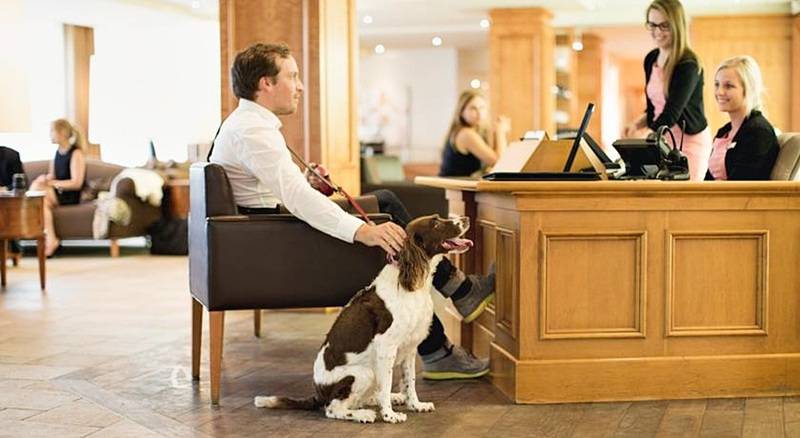 فندق Hôtel Le Bonne Entente