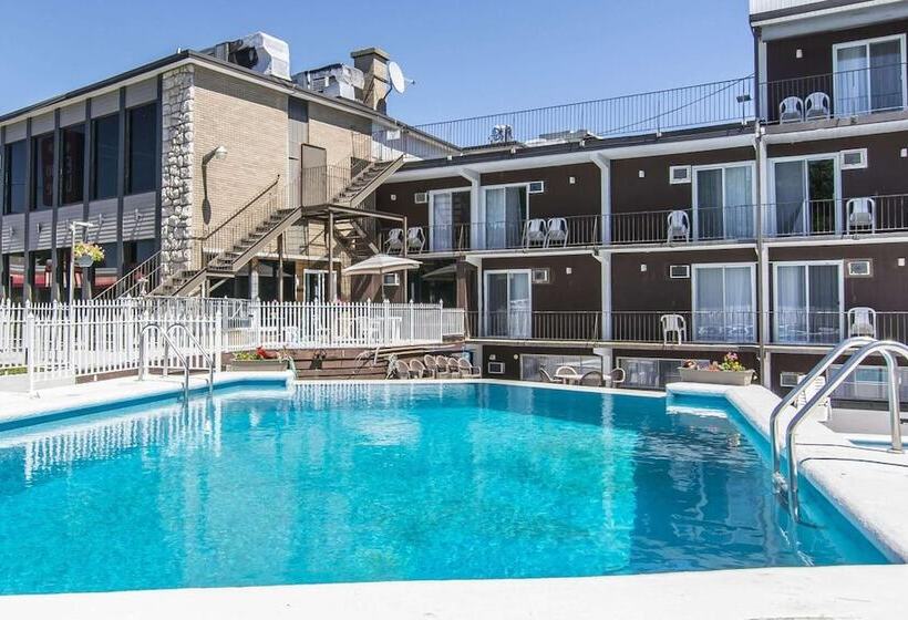 Отель Hôtel Le Principal