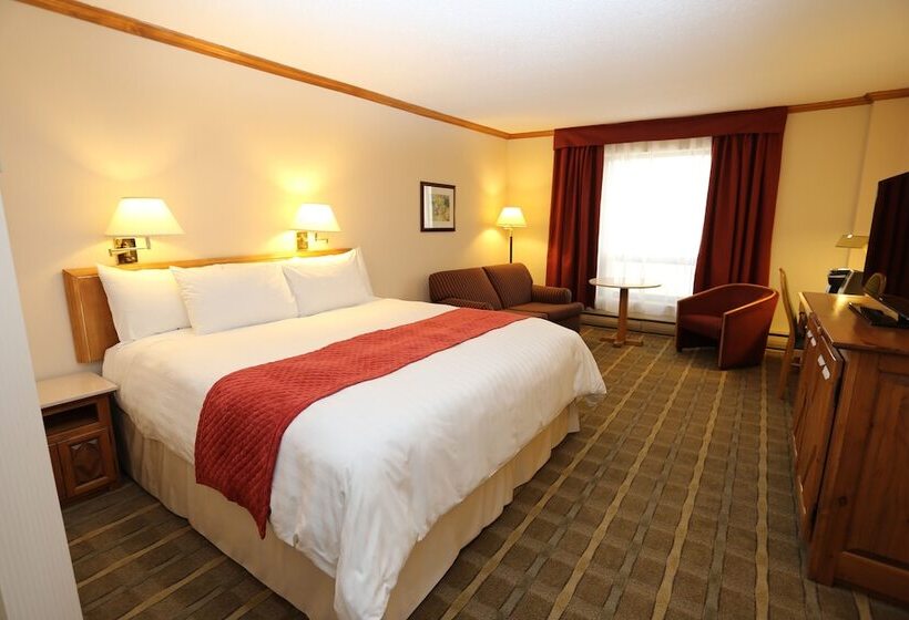 酒店 Hôtels Gouverneur Troisrivières