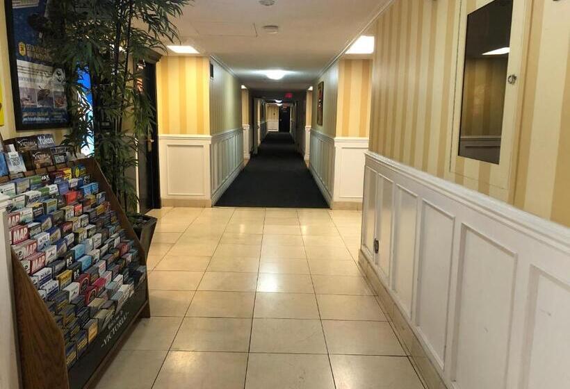 酒店 Island Travel Inn