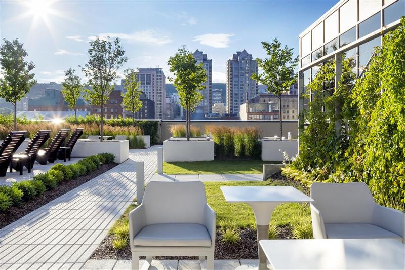 Отель Le Centre Sheraton Montreal