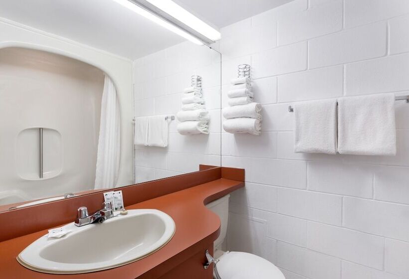 Отель Moosejaw Inn