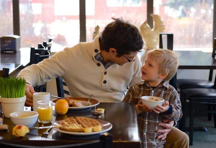 ホテル Mount Robson Inn